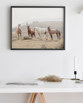Hillside Horses