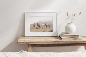 Hillside Horses