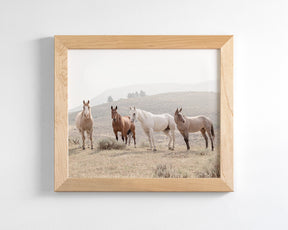 Hillside Horses