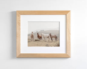 Hillside Horses