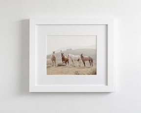 Hillside Horses