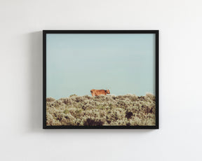 Turquoise Sky Cow