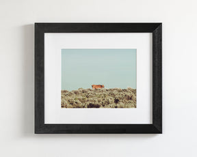 Turquoise Sky Cow
