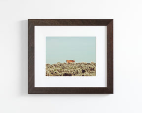 Turquoise Sky Cow