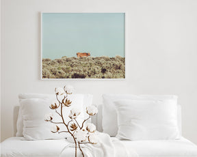 Turquoise Sky Cow