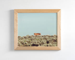 Turquoise Sky Cow