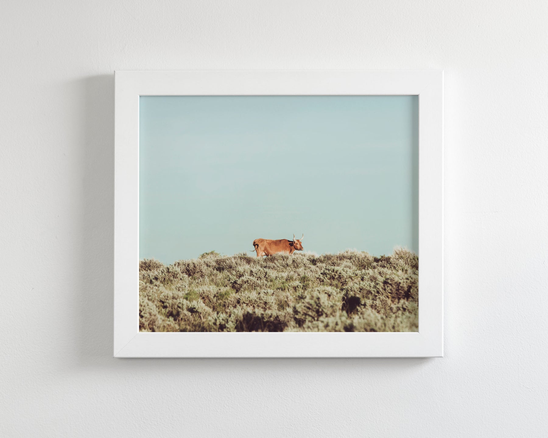 Turquoise Sky Cow