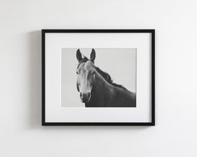 Vintage Style Horse Portrait