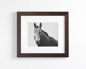 Vintage Style Horse Portrait