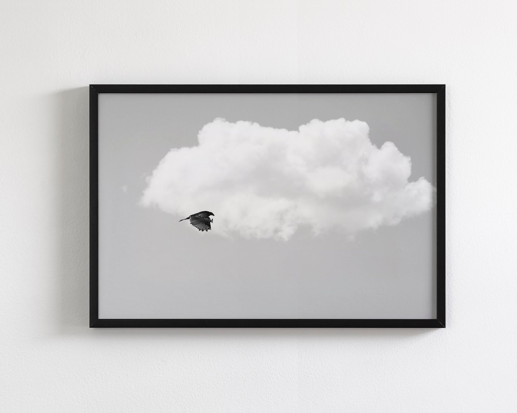 Vulture in the Clouds