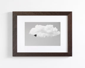 Vulture in the Clouds