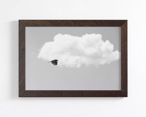 Vulture in the Clouds