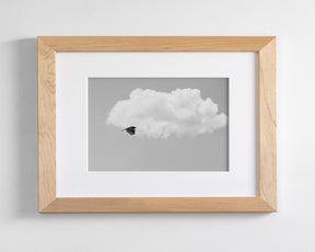 Vulture in the Clouds