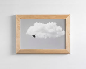Vulture in the Clouds