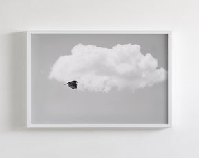 Vulture in the Clouds