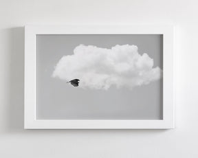 Vulture in the Clouds