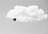 Vulture in the Clouds