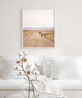 Desert Stallion, color