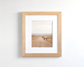 Desert Stallion, color