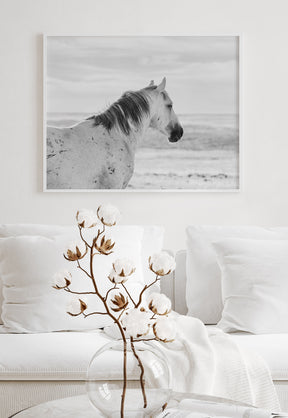Watchful Stallion, Black and White