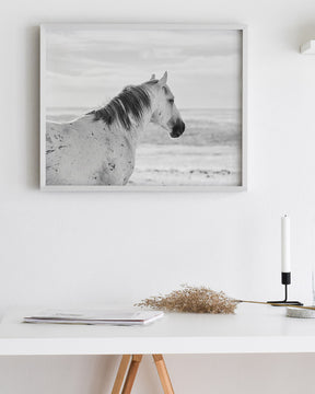 Watchful Stallion, Black and White