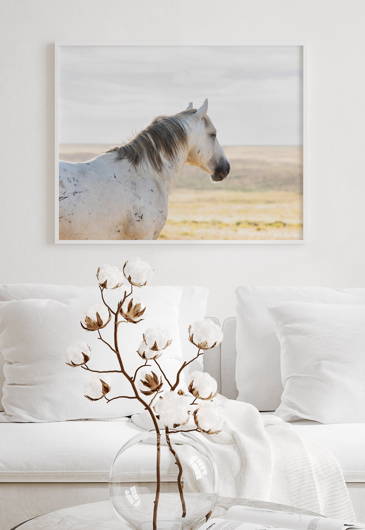 Watchful Stallion, Color