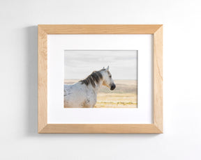 Watchful Stallion, Color