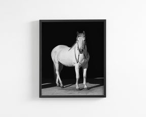 White Horse, Black Barn