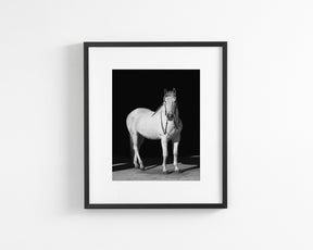 White Horse, Black Barn