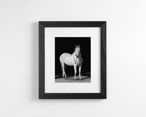 White Horse, Black Barn