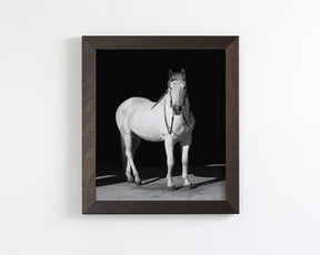 White Horse, Black Barn