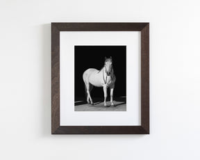 White Horse, Black Barn