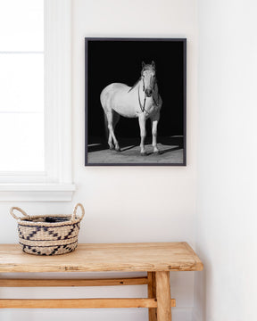 White Horse, Black Barn
