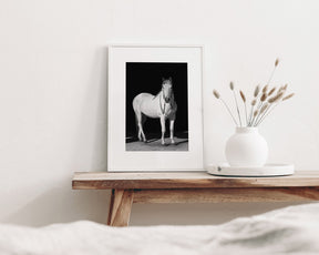 White Horse, Black Barn