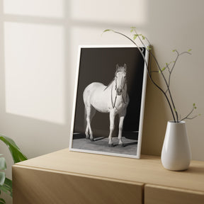 White Horse, Black Barn