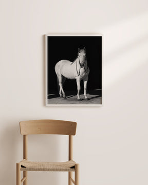White Horse, Black Barn