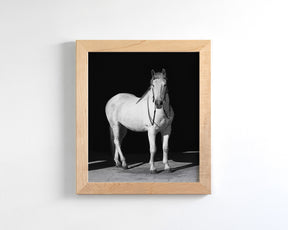 White Horse, Black Barn