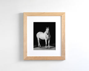 White Horse, Black Barn