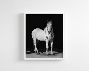 White Horse, Black Barn