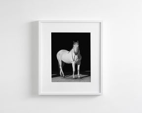 White Horse, Black Barn