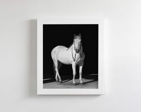 White Horse, Black Barn