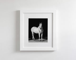 White Horse, Black Barn