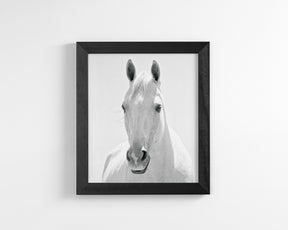 White Horse Portrait