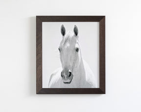 White Horse Portrait