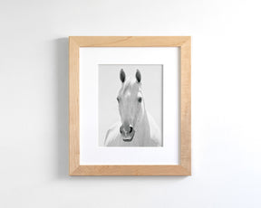 White Horse Portrait