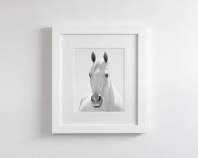 White Horse Portrait