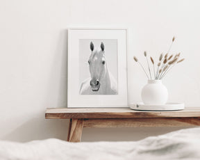White Horse Portrait