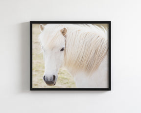 White Horse Picture, Iceland