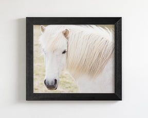 White Horse Picture, Iceland