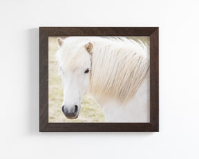 White Horse Picture, Iceland